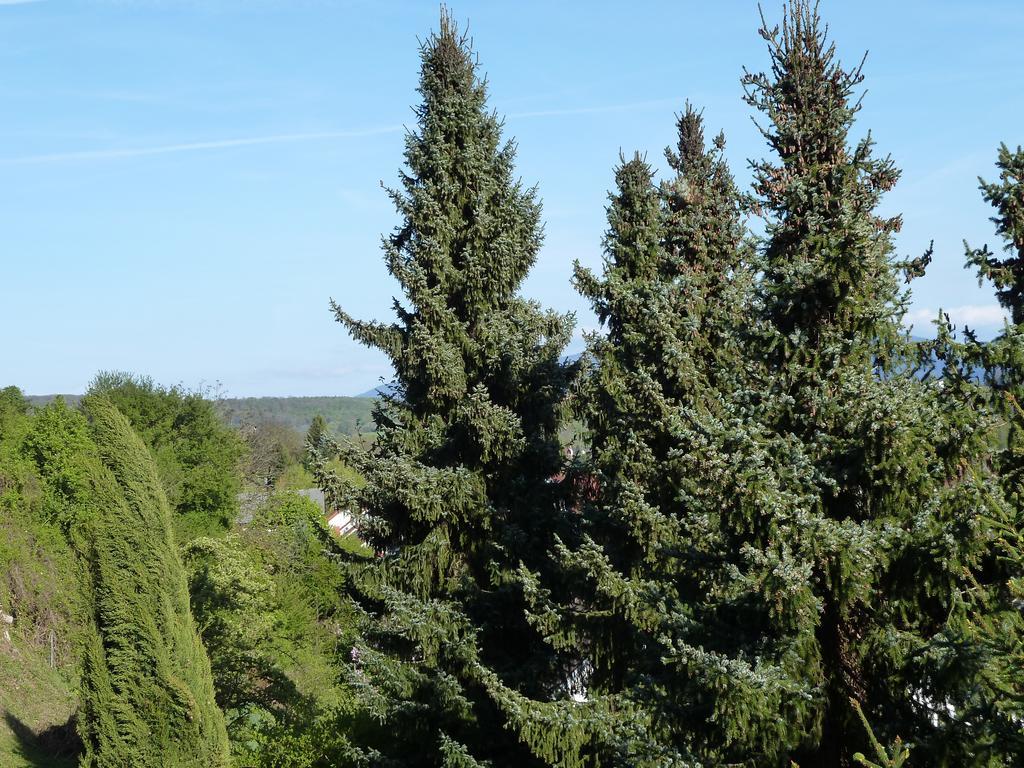 Helle 70 Qm Ferienwohnung Mit Herrlichem Blick 坦英根 外观 照片