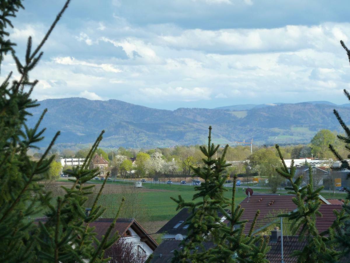 Helle 70 Qm Ferienwohnung Mit Herrlichem Blick 坦英根 外观 照片